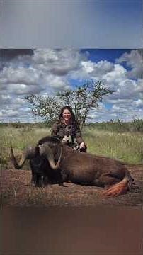 Black wildebeest hunting, Namibia