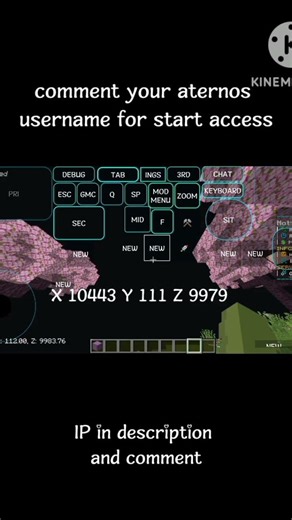 server giveaway #lifstealsmp #minecraft