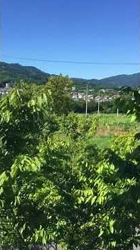 動物村の広場♪２歳の子供好きな歌♡