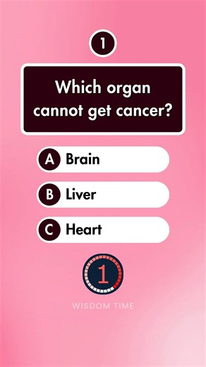 4.2K views · 342 reactions | Can You Pass This Human Anatomy Quiz? #HumanBodyQuiz #AnatomyTrivia | Wisdom Time | Facebook