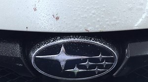 74K views · 303 reactions | What's the biggest advantage of our CARPRO BugOut? This product easily removes smashed bugs while softening the chemical structure of their residues for safe removal. But the biggest benefit of BugOut is that, despite its strong action, it does not damage plastic elements of your car, coated surfaces, PFF or glass. It's definitely worth a try: https://carpro.global/catalog/bug-out/ | CARPRO | Facebook