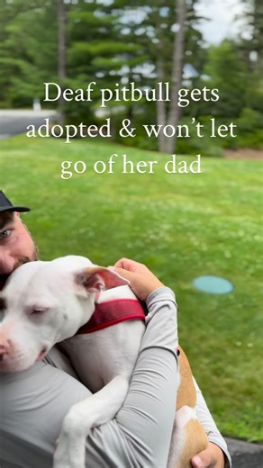 JAMES COBURN | even at this very moment, she’s nestled up beside me. The true story of milkshake Marie is that she helped rescue us. The love she gives to... | Instagram