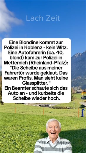 Professionelle Diebe 🧐 #witze #lachen #humor #lustig #funny #spaß