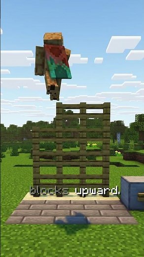 Working Castle Gate in Minecraft