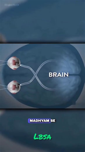 1.4K views · 19 reactions | How do our eyes work? Light Entry...