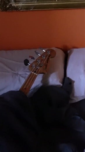 Cauchemard de Guitard