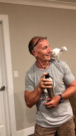 Parrot knows exactly what belongs to his Dad and how to annoy him ... like by stowing away in his gym equipment! Keep up with Lucky Lou and Coco Too on Instagram: thedo.do/luckyloucocotoo | The Dodo