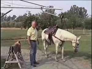 Do you know how to adjust your breast collar in the right position? Watch this video from Buckaroo John Brand to find out, and see several different styles and options! See our tack at: www.buckarooleather.com | Buckaroo Leather Products