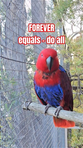 Would you keep me forever?