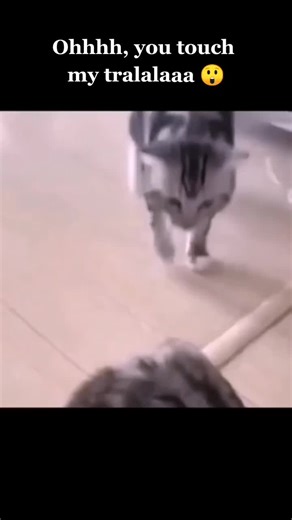 You Touch My Tralala Meme: Exploring the Catchy Song Phenomenon