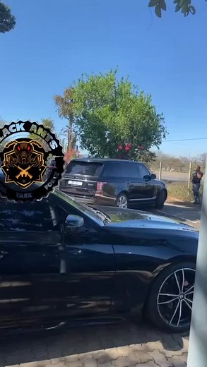 Black Ants Vip on TikTok