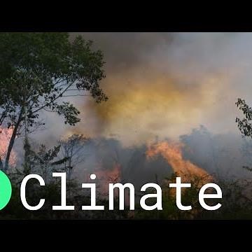 Brazil's Indigenous Women Protest Bolsonaro Amid Devastating Amazon Wildfires