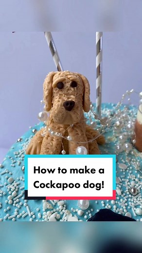 Cake Ninja on TikTok