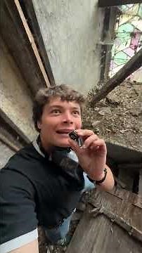 How loud is a bell tower? 🤔