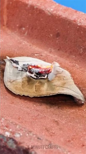 Turning a Real Leaf Into Pure Silver Jewelry! 🍃✨