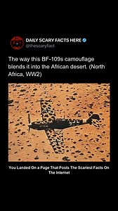 36K views · 114 reactions | This BF-109 fighter plane, used by the...