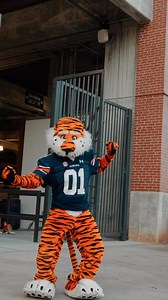 33K views · 1.3K reactions | From everyday campus moments to unforgettable traditions, these are some of the people, places & moments that made this year special…captured through our videographers’ lens. | Auburn University | Facebook