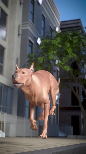 Zach (@zach16168)’s video of Dog Talking