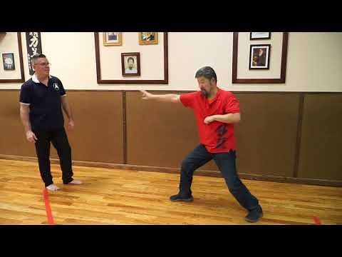 Master Chen Zhonghua "Cannon Fist Punch"