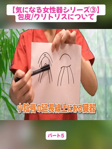 包皮クリトリスとは？原因・症状・放置リスクを分かりやすく解説