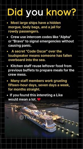 What Cruise Ship Crews Never Tell Passengers