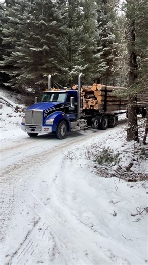 Brian Rupp on Instagram: "Just a few shots from the woods this week. Had a good run of cold temperatures so that we could haul although I think that’s coming to an end as the weather’s gonna warm up next week. Keep it real out there. #forestproducts #renewableresource #logging #coldweather"