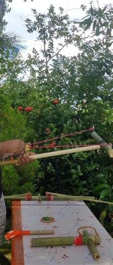 DIY bamboo crossbow creation with slingshot string #bamboo #bamboocrafts #bambooprojects