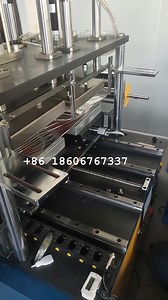 hot stamping process，stamping golden line on plastic food plate #hotstamping #hotstampingmachine #hotstampingfoil #foodplate #foodtray #plastic | Zhang Luzheng