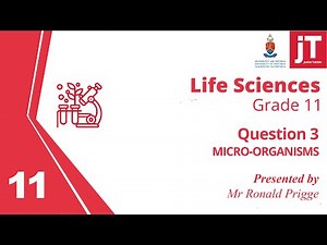 Gr 11 Life Sciences - Micro Organisms - Question 3