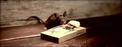 Really Funny mouse trap cheese commercial !!!