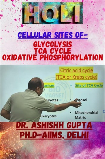 Cellular Sites of Glycolysis, TCA Cycle & Oxidative Phosphorylation #drashishgupta #biomagnet #NEET