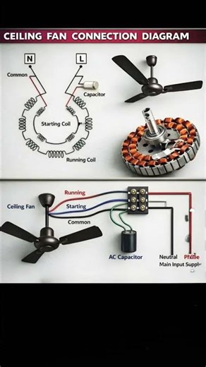 ceilings fan connection diagram