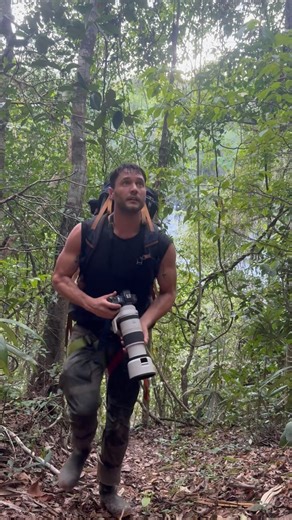 15K views · 752 reactions | Belize  Incredibly kind people who are passionate about their history and wildlife, and abundant biodiversity everywhere we looked. While filming #ExpeditionX down there I took every opportunity I had to put my camera into action, here’s just a hint of what’s to come. Wearing the @vollebak Graphene T Shirt, black edition  | Phil Torres | Facebook