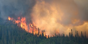 Opinion | Fight Wildfires With Fire (if EPA Allows)