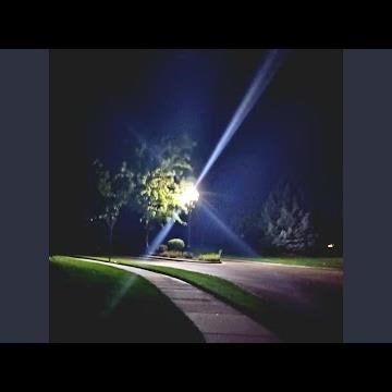 The Lonely Bit