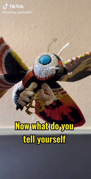 Kiryu Godzilla Rule 34: Godzillameme Funny Meme Compilation