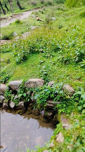 "Beautiful Water Spring in Mountains 🌿 | Peaceful Nature & Scenic View"