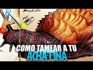 COMO TAMEAR A TU ACHATINA | Guia Español | Ark: Survival Evolved