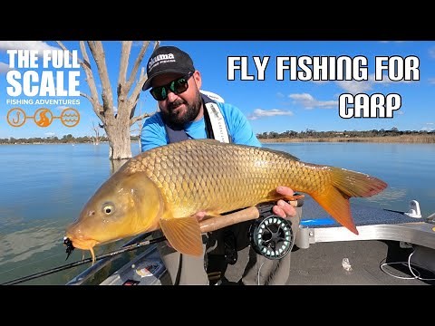 Fly Fishing For Carp | The Full Scale