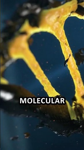 Nobel Laureate Jean-Marie Lehn on Chemistry’s Role in the Evolution of the Universe