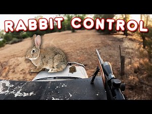 Rabbit Control on the Farm | CZ515 22lr