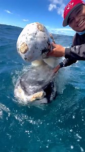 2.3M views · 10K reactions | Come and get your love 懶 :...