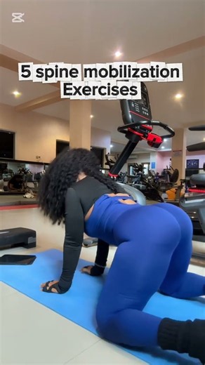 5 spine mobilization exercises #flexibility #motivation #gym