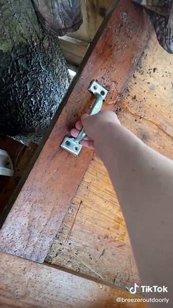 Treehouse Ladder Ideas and Tree Bunker Designs