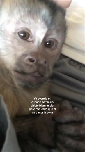 😂😂😂 | malas rachas