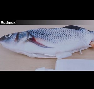 Watch fish cat toy on Amazon Live