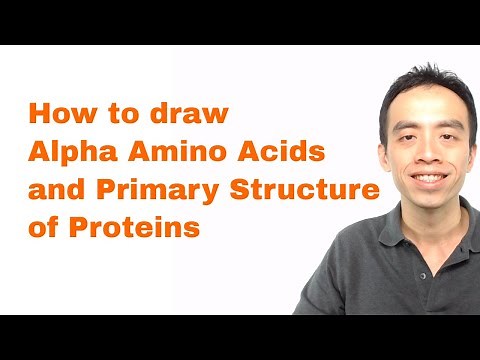 Amino Acids and Proteins: How to draw Alpha Amino Acids and Primary Structure of Proteins