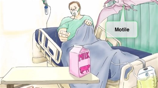 5.1 - Klebsiella, Enterobacter, Serratia