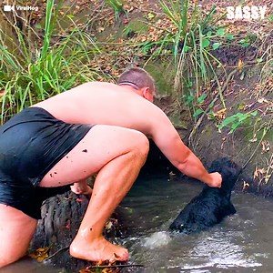 The calf knew it was being helped! 🥺️🐄 | Sassy