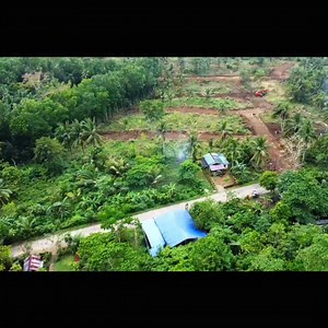 14K views · 78 reactions | Overlooking lot for sale sea view /...